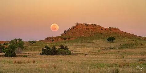 Kansas Photography | Mickey Shannon Photography Kansas City Missouri Photography, Kansas Landscape, Kansas Photography, Kansas Scenery, Loose Park Kansas City Photography, Kansas Nature, Flint Hills, Beautiful Scenes, Wheat Fields