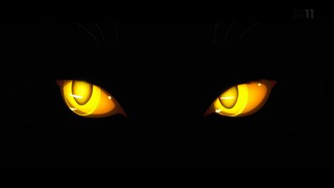 yellow cat eyes | Tumblr Eyes Drawing Tumblr, Yellow Cat, Cat Eyes, Anime Eyes, Warrior Cats, Eye Drawing, 그림 그리기, Animation Art, Cool Drawings