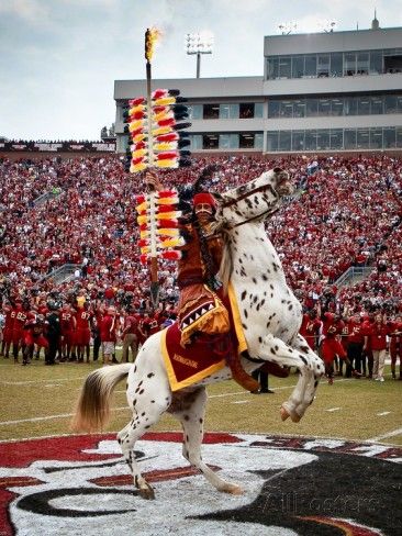 Florida State University - Renegade and Chief Osceola on the Field Photo by Ross Obley at AllPosters.com Bobby Bowden, Florida State Seminoles Football, Florida State Football, Seminoles Football, Fsu Football, Wine Blog, Fsu Seminoles, Colleges In Florida, Florida Girl