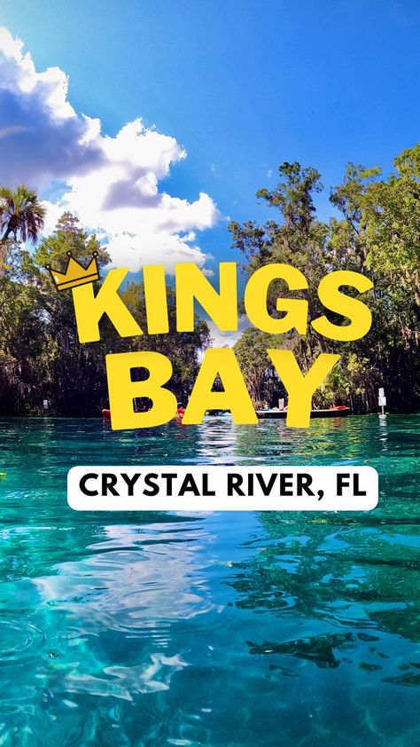 Crystal Springs Florida, Tarpon Springs Florida, Crystal River Florida, Spring House, Crystal Springs, Florida Springs, Springs Florida, Tarpon Springs, Crystal River