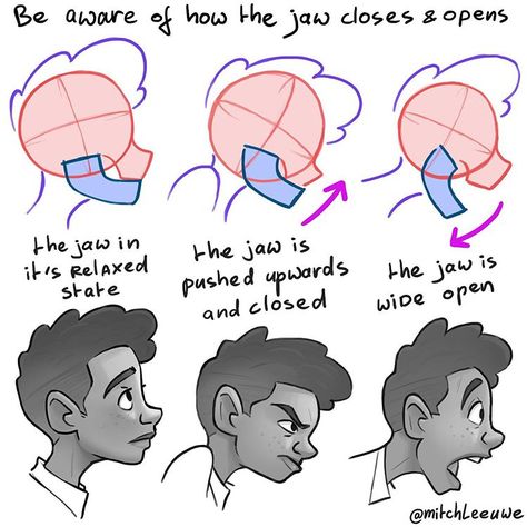 Mitch Leeuwe on Instagram: “Drawing expressions from the side view of the head. Working on a new ebook and video tutorial about drawing expressions. See link in my…” Mitch Leeuwe, Comic Tutorial, Instagram Drawing, Sketches Tutorial, Drawing Expressions, Anatomy Drawing, Figure Drawing Reference, Anatomy Art, Art Tutorials Drawing