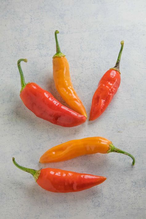 Chili Pepper Types - A List of Chili Peppers and their Heat Levels - Chili Pepper Madness Chili Pepper Hot Sauce Recipe, Yellow Chili Peppers, Types Of Chili Peppers, Chili Pepper Recipes, Peruvian Cuisine, Paste Recipe, Hot Peppers, Hottest Chili Pepper, Spicy Chili