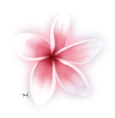 Faded Plumeria    awesome!  different color than pink Flores Plumeria, Plumeria Flower Tattoos, Frangipani Tattoo, Pink Hawaii, Plumeria Tattoo, Jellyfish Light, Hawaiian Tattoo, 1 Tattoo, Small Tattoo Designs