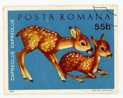 Romania deer stamp Deer Stamp, طوابع بريد, Cute Stamps, Postage Stamp Design, Stamps Postage, Old Stamps, Postage Stamp Art, Post Stamps, Letter Stamps