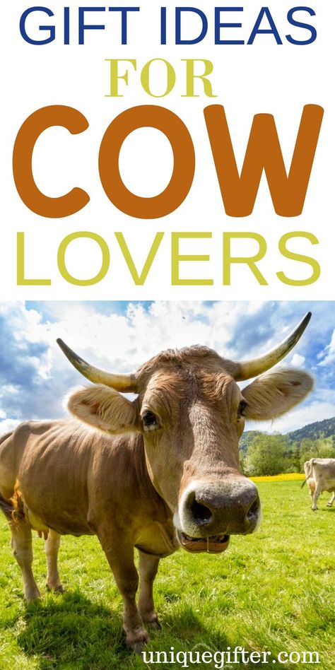 What to Buy Someone Who Loves Cows | Cows  Lovers | Creative Gifts For Cow Lovers | Special Presents for Someone Who Loves Cows | Unique Gifts For Cow Lovers | #Cows #animallover #gifts Cow Crafts For Adults, Adult Gift Ideas, Cow Gift Ideas, Cow Puns, Special Presents, Cow Craft, Cow Ears, Cow Gifts, Curious Cat