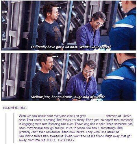 Tony X Bruce, Tony And Bruce, Science Bros, Dc Memes, Dc Movies, Bruce Banner, Kindred Spirits, Marvel Jokes, Marvel Funny