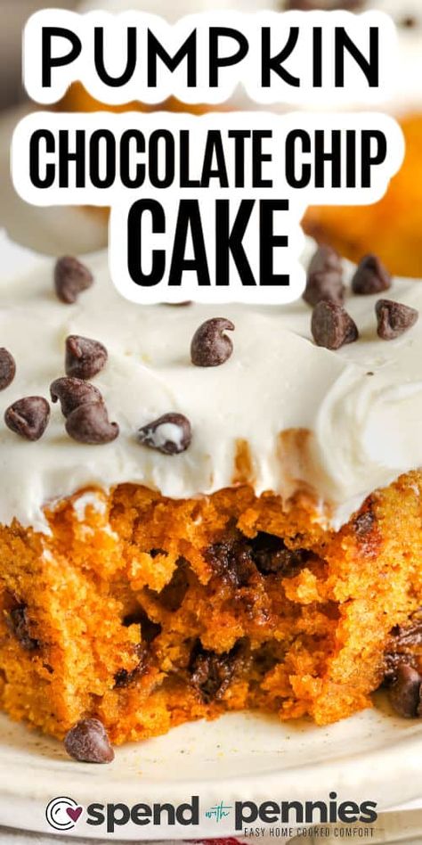 Everyone will love this moist & flavorful chocolate chip pumpkin cake! It’s the perfect dessert to serve when the weather starts to turn. Or, serve it for an afternoon treat with coffee or tea! #chocolatechippumpkincake #pumpkincake #recipe #dessert #spendwithpennies Pumpkin Chocolate Chip Cake, Impressive Dessert, Impressive Desserts, Spend With Pennies, Chocolate Chip Cake, Pumpkin Chocolate Chip, Traditional Family, Recipe Dessert, Steaming Cup