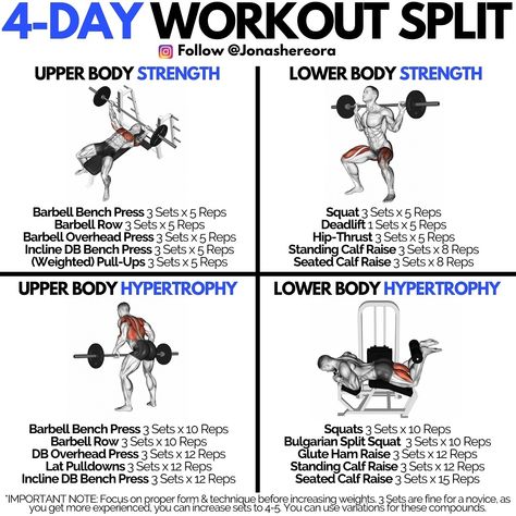 Fitness Exercises on Instagram: “🚹 How To Split Your 4-Day Workout! ⠀@FitnessExercises 🔹 Do you want to train for both STRENGTH and MUSCLE GROWTH but only training 4 days a…” 4 Day Split Workout, 4 Day Workout, Workout Split, How To Split, Full Body Workout Routine, Workout Splits, Muscle Building Workouts, Weight Training Workouts, Body Strength