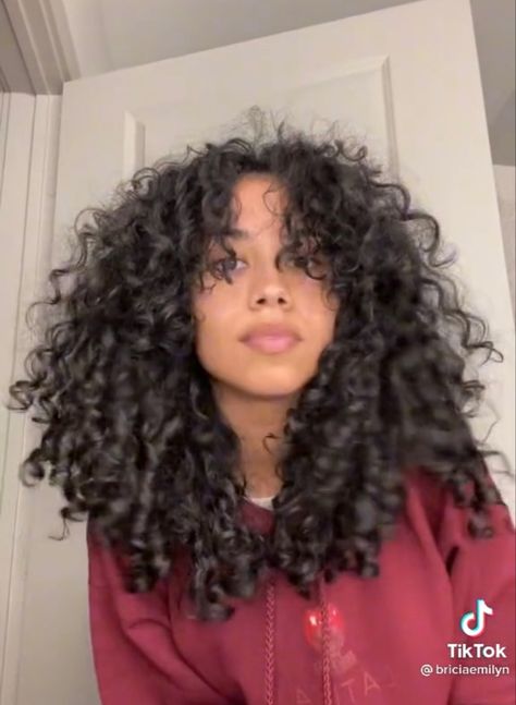 Curly Haircuts Layers Natural Curls, Curtain Bangs 3b Hair, Curtain Bangs Coily Hair, Medium 3b Curly Hair, 3b Haircut Curly, Rezo Haircut Curly Hair, 3b Curly Hair Long Layers, Face Framing Layers Curly Hair Natural, Curly Curtain Bangs 3b