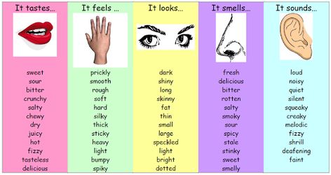 The 5 Senses again Imaginative Writing, List Of Adjectives, Adjective Words, Describing Words, 5 Senses, Descriptive Words, Vocabulary Practice, English Writing Skills, Grammar And Vocabulary