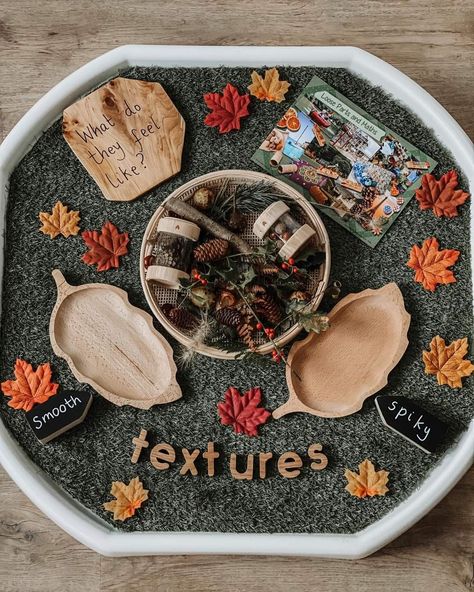 Hedgehog Tuff Tray Ideas, Autumn Tuff Tray Ideas For Babies, Thanksgiving Tuff Tray Ideas, September Tuff Tray Ideas, Autumn Tuff Tray Ideas, Autumn Tuff Tray Ideas Eyfs, Autumn Eyfs Activities, Autumn Eyfs, Tuff Tray Ideas