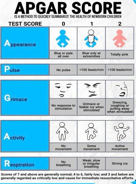 ABCTUTORIAL (@abctutorial65) on X Nurse Hacks, Apgar Score, Paramedic School, Medical Life, Nursing 101, Student Tips, Nursing Life, Nursing Study Guide, Nursing School Motivation