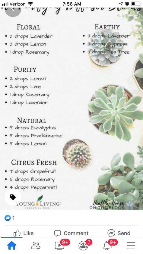 Clean Essential Oil Blends, Clean Air Diffuser Blend, Diffuser Blends Young Living, Diy Perfumes, Diffuser Scents, Home Aroma, Essential Oils 101, Essential Oil Diffuser Blends Recipes, Young Living Essential Oils Recipes