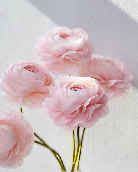 Taruni's Garden on Instagram: “Always in the mood for some blush pink ranunculus...... #paperflowers #paperflowerartist #underthefloralspell #floralinspiration #floralart…” Light Pink Ranunculus, Salmon Ranunculus, Blush Butterfly Ranunculus, White Butterfly Ranunculus, Peach Ranunculus, Pink Ranunculus, Ranunculus, In The Mood, The Mood