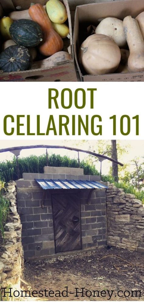 Root Cellar Plans, Root Cellar Storage, Root Cellars, Backyard Homestead, Homestead Gardening, Off Grid Survival, Preserving Foods, Homesteading Diy, Root Cellar