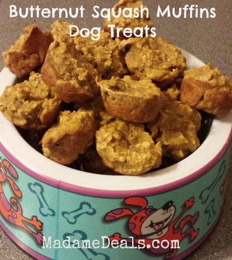 Butternut Squash Muffin Dog Treats Squash Dog Treats, Butternut Squash Muffins, Squash Muffins, Butternut Recipes, Homemade Dog Cookies, Healthy Dog Food, Dog Biscuit Recipes, Healthy Dog Food Recipes, Healthy Dog Treat Recipes