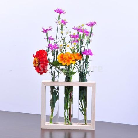 Test Tube Vase, Nice Flower, Terrarium Containers, Clear Vase, Hanging Vases, Bottle Stand, Hanging Crystals, Hanging Flowers, Flower Arranging