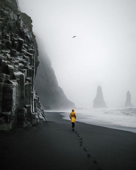 ↠ Lost In Iceland ↞ on Instagram: “📍Reynisfjara beach Photo by: @kalenemsley Tag someone who should go to Iceland! ————————————————— Follow @lost.in.iceland for all the best…” Iceland Wallpaper, Iceland Travel Photography, Reynisfjara Beach, Iceland Photos, Iceland Adventures, Iceland Photography, Fishing Apparel, Nature Architecture, Black Sand Beach