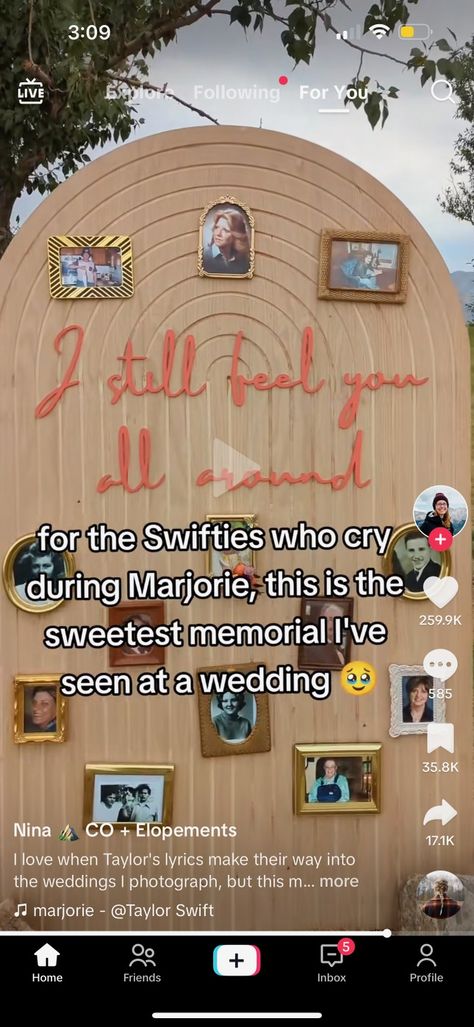 Memory Wall Wedding, Wedding Taylor Swift, Taylor Swift Wedding, Memorial Wall, Memory Wall, Taylor Lyrics, Live For Yourself, Wedding Inspo, Taylor Swift