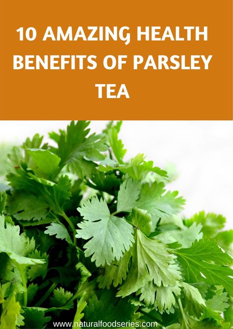 Benefits of Parsley tea include Excellent Source Of Folic Acid, natural remedy for bad breath, Can Help Treat Iron Deficiency Anemia. #parsleytea Parsley Water Benefits, How To Make Parsley Tea, Parsley Benefits Health, Parsley For Kidney Cleanse, Benefits Of Parsley Tea, Parsley Tea Benefits, Remedy For Bad Breath, Benefits Of Parsley, Parsley Tea