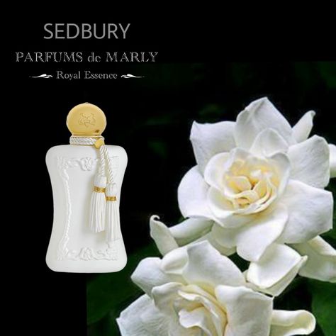 Parfums de Marly Sedbury (For Women) 2015 Parfums De Marly Sedbury, My Perfume, Parfums De Marly, Novelty Christmas, Christmas Ornaments, Holiday Decor, For Women, Christmas