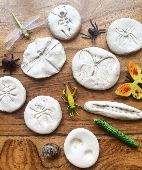 Bug "Fossils" Using Air Drying Clay (from Orla & Me via Instagram: https://www.instagram.com/p/BijKe7aHPG-/?taken-by=orla_and_me) Bug Fossils, Minibeast Art, Nature Play Ideas, Fossil Art, Insect Activities, Insects Theme, Insect Print, Wonderful Nature, Nature Play