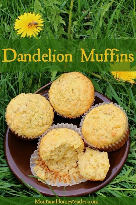 Dandelion Muffin Recipes, Dandelions Recipe, Dandelion Food, Dandelion Cupcakes, Dandelion Muffins, Cup4cup Recipes, Litha Recipes, Tea Jelly, Kitchen Witch Recipes