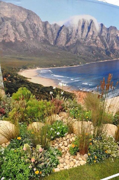 Fynbos Garden, Indigenous Garden, Amazing Places To Visit, Waterwise Garden, Visit Places, Farm Garden, Side Garden, Sea Shore, Water Wise