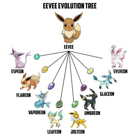 Pokemon Puns, List Of Pokemon, Eevee Wallpaper, 150 Pokemon, Pokemon Names, Eevee Evolution, 151 Pokemon, Danmachi Anime, Eevee Evolutions