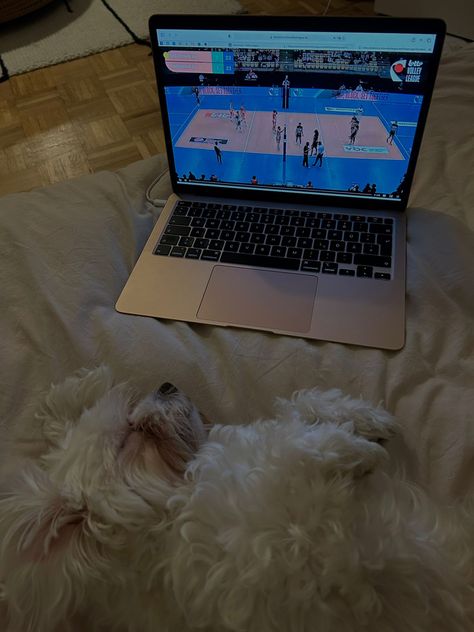 watching Volleyball with my sleppy dog 😚 Aesthetic At Home, Volleyball Aesthetic, Volleyball Life, Ideas Style, Home Ideas, Volleyball, Animal Lover, At Home, Style Inspiration