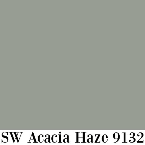 Sherwin-Williams Acacia Haze 9132 paint color swatch.. #greenpaintcolors #sagegreen Acacia Haze Sherwin Williams, Acacia Haze, Paint Color Swatches, Blue Gray Paint, Burning Fire, Green Gate, Green Paint Colors, Grey Paint Colors, Hello Lovely