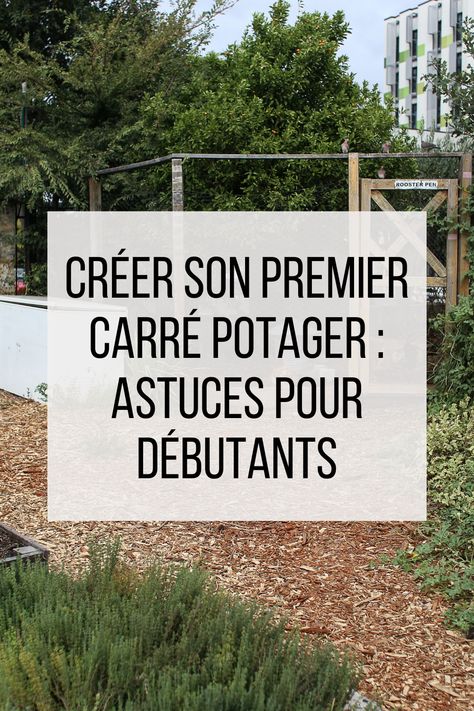 Créer son carré potager Plan Potager, Potager Palettes, Permaculture, Parfait, Home And Garden, Design, Organisation