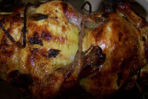 This rotisserie marinated Cornish hens recipe is quite easy and will render you a delicious bird. The marinade is made with citrus and herbs. Cornish Hen Marinade Recipe, Smoked Cornish Game Hen Recipes, Rotisserie Cornish Hens, Grilled Cornish Game Hen Recipes, Orange Glazed Cornish Hens, Cooking Cornish Hens, Game Hen Recipes, Cornish Game Hen Recipes, Roasted Cornish Hen