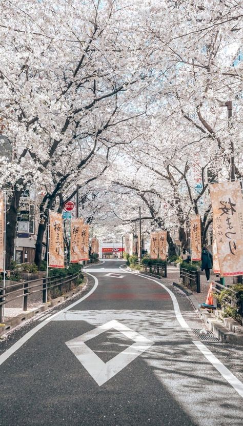 Paisajes Aesthetic, Chill Place, City Sidewalk, Spring Scenery, Photo Dream, Animation Quotes, Japan Landscape, Dreamy Photography, Scenery Photography