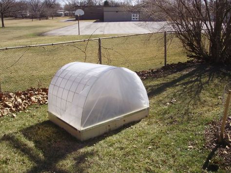 How To Build a Mini Hoop House Mini Hoop House, Small Greenhouse, Backyard Greenhouse, Greenhouse Plans, Garden Greenhouse, Garden Help, Diy Greenhouse, Cold Frame, Garden Boxes