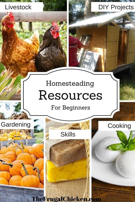 Homesteading Resources For Beginners Gardening Diy Projects, Organic Fertilizers, Modern Homesteading, Homesteading Diy, Homestead Farm, Garden Cooking, Raising Backyard Chickens, Homestead Gardens, Homesteading Skills