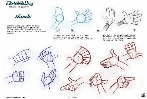 Hand guide Cartoon Hands, Character Design Cartoon, Draw Hands, Hand Drawing Reference, Anatomy For Artists, Hand Sketch, Hand Art, Drawing Lessons, Drawing Skills