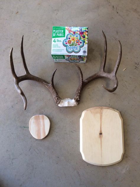 DIY Antler Plaque Project (Pic Heavy) | TexAgs Diy Deer Antler Mount, Antler Diy Projects, Deer Antler Mount Ideas, Diy Antler Projects, Antler Mount Ideas, Deer Antlers Diy, Deer Antler Diy, Diy Deer Antlers, Antler Diy