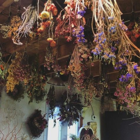 The Wiccan Path — Drying herbs and flowers from the ceiling for home... Herb Witch Aesthetic, Herb Witch, Winter Flowers Garden, Small Herb Gardens, Flowers Hanging, Witch Cottage, Magia Das Ervas, Witch Garden, Cottage In The Woods