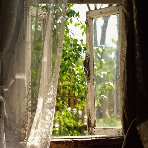 Vintage Italy, Lace Curtains, Cottagecore Aesthetic, Window View, Room Makeover Inspiration, Open Window, Yellow Leaves, Through The Window, Summer Breeze