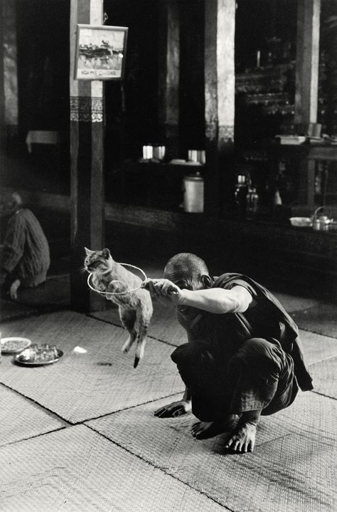 Sabine Weiss, Get Carter, Willy Ronis, Journalism Photography, Photo Repair, Robert Doisneau, Street Portrait, Bnw Photography, French Photographers