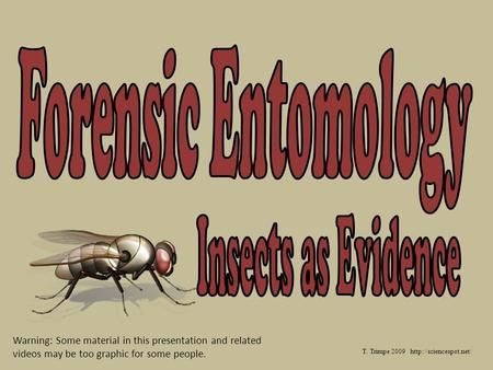 Videos and link to Educational site.     T. Trimpe 2009  Warning: Some material in this presentation and related videos may be too graphic for some people.> Forensic Anthropology Aesthetic, Human Decomposition, Forensic Linguistics, High School Forensic Science, Forensic Entomology, Elementary Forensic Science, Body Farm, Dermestid Beetles, Fly Infestation