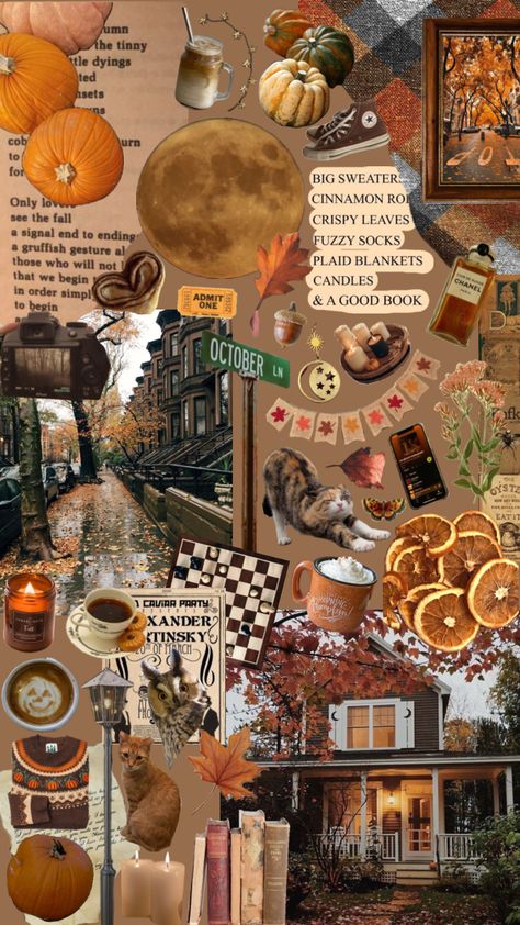 #autumn #moodboard #aesthetic #fall #wallpaper #background #vibes #books Fall Orange Aesthetic, Retro Halloween Aesthetic, Aesthetic Fall Wallpaper, Autumn Moodboard, Fall Backgrounds Iphone, Halloween Wallpaper Iphone Backgrounds, Cute Fall Wallpaper, Iphone Wallpaper Fall, Moodboard Aesthetic