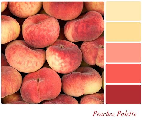 Peach Color Palettes, Color Durazno, Peach Palette, Shingle Colors, Elements Of Color, Peach Background, Peach Fruit, Hue Color, Shades Of Peach