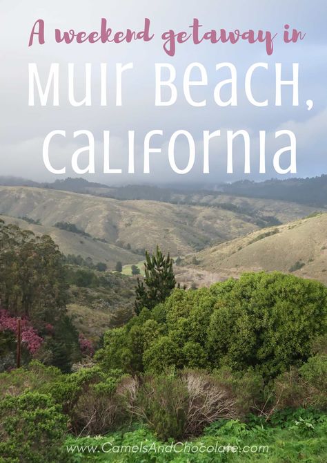 Muir Beach Overlook: California Travel California Tourist Attractions, Places To Visit In California, Beautiful Coastline, Muir Beach, California Camping, California Vacation, Usa Travel Guide, California Travel Road Trips, Travel Pics