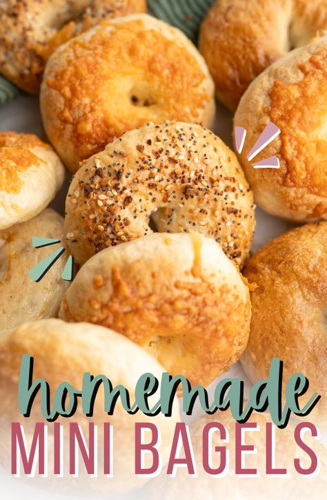 Mini Bagels  - Cooking With Karli Asiago Bagel Recipe, Mini Bagels Recipe, Donut Pan Recipe, Breakfast Bagel Recipe, Bagels Homemade, Bagels Easy, Homemade Bagel Recipe, Bagels Breakfast, Cinnamon Bagels