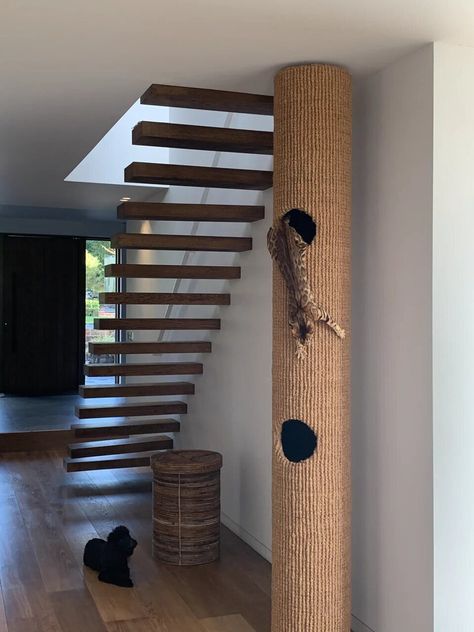 Hicat® | Made-to-Measure Cat Climbers & Bespoke Cat Furniture Cats Room, Iguana Pet, Cats Climbing, Cat Projects, Cat Furniture Design, Katt Grejer, Cat Climber, Cat Bedroom, Small Mammals