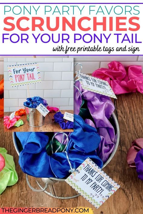 Having a horse themed party? These easy scrunchie party favors are a cinch to put together. They add a fun pop of color to your party decor and are a budget-friendly favor idea. Check out these "pony tail" favors and get our free printable tags and table sign on our blog. #party #favors #diy #thegingerbreadpony #pony #equestrian Horse Birthday Party Favors, Pony Party Favors, Party Favors Diy, Horse Themed Party, Horse Birthday Parties, Free Printable Tags, Horse Party, Horse Birthday, Pony Party