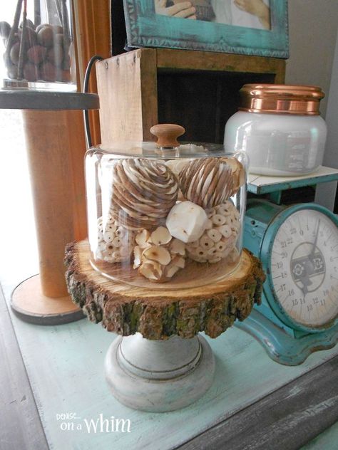 Not Just a Cheese Dome Anymore! Cheese Dome Decor Display, Cheese Dome Decor, Cloche Ideas, Cheese Dome, Festival Diy, Repurposed Items, Decor Display, The Deal, You Never Know