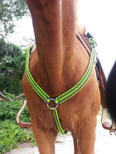 Horse Walker, Horse Tack Diy, Horse Braiding, Equestrian Outfit, Horse Halters, Equestrian Helmet, Western Horse Tack, Horse Equipment, Horse Bridle